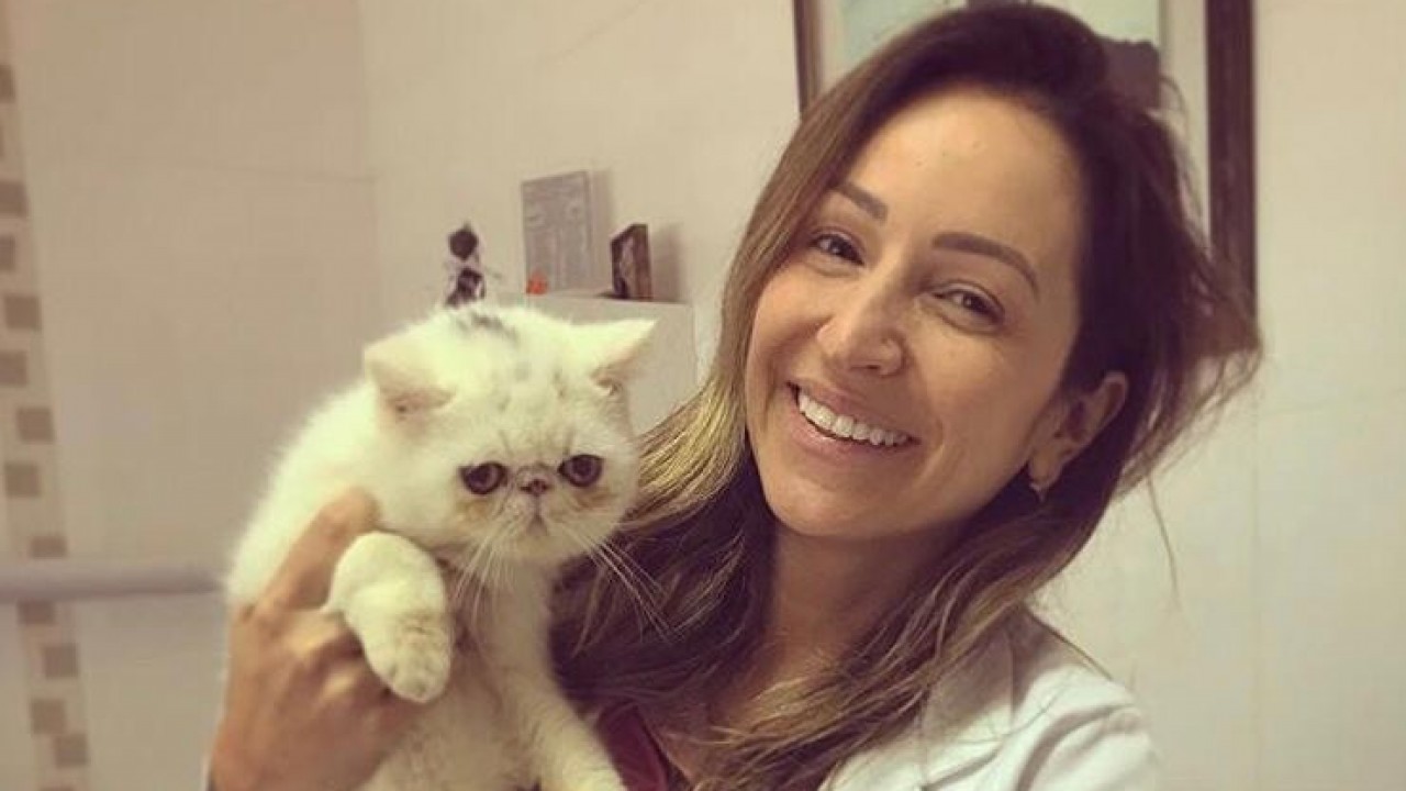 Foto: Será que cães e gatos têm o sexto sentido?