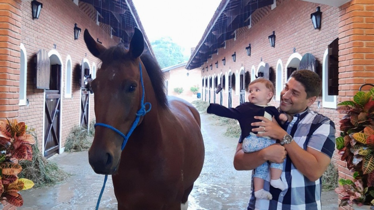 Foto: Cavalo, o melhor amigo do homem