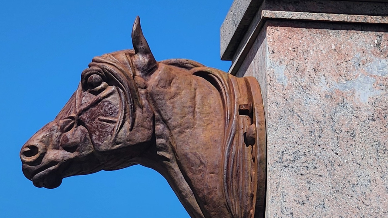 Foto: Triunfo a galope