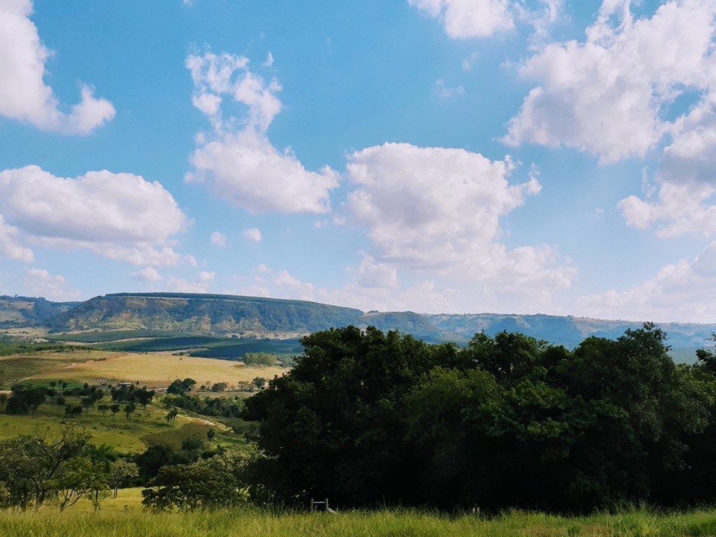 Foto: Brasil rural, o pa&iacute;s que d&aacute; certo