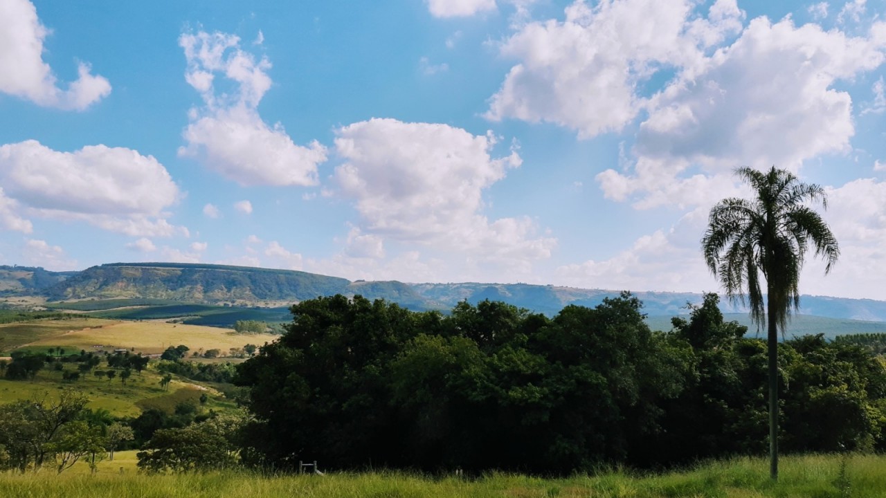 Foto: Brasil rural, o país que dá certo