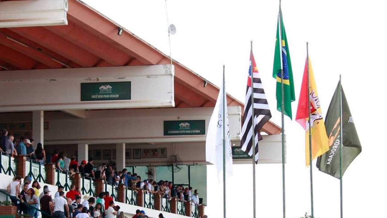 Foto: Ordem, regras e participantes felizes