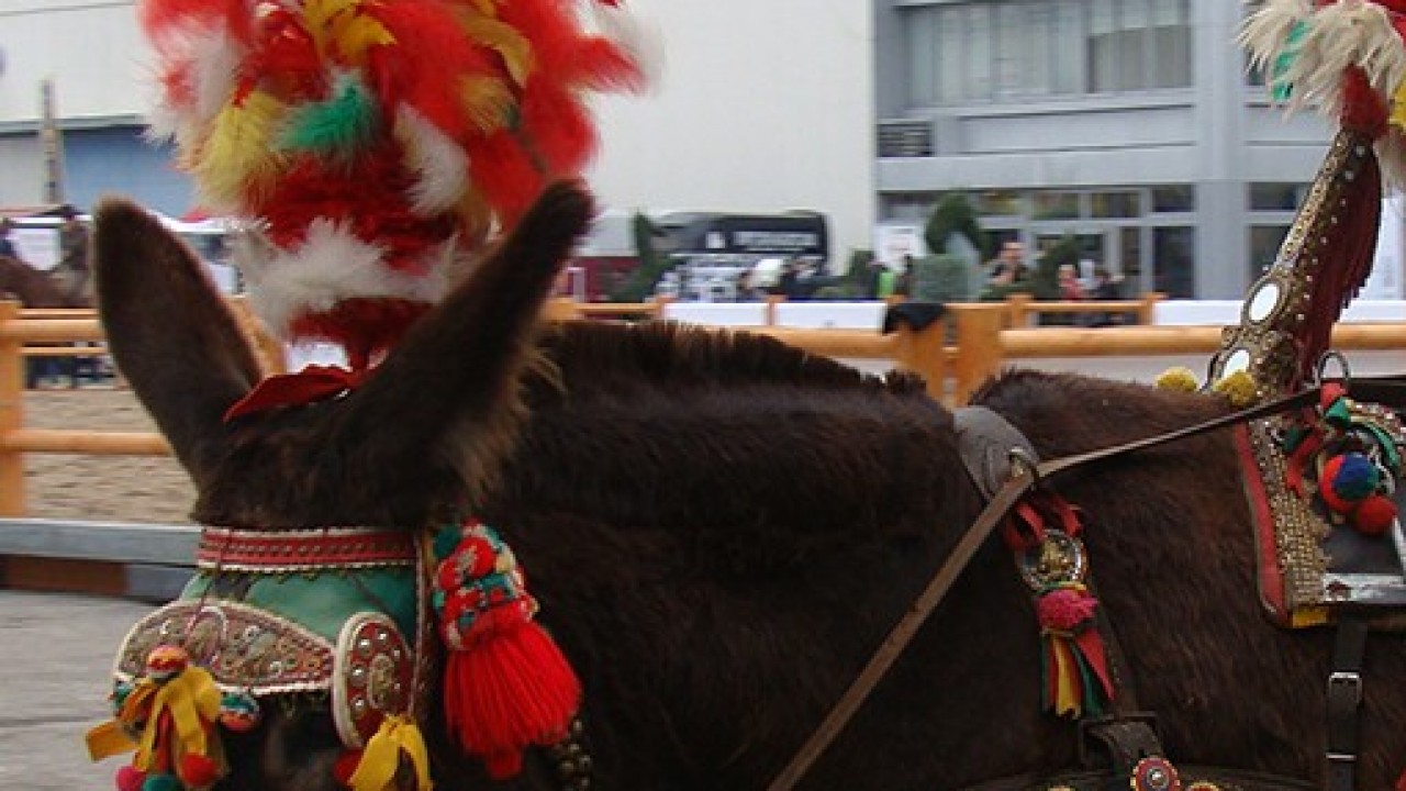 Foto: A abrangência de mercado
