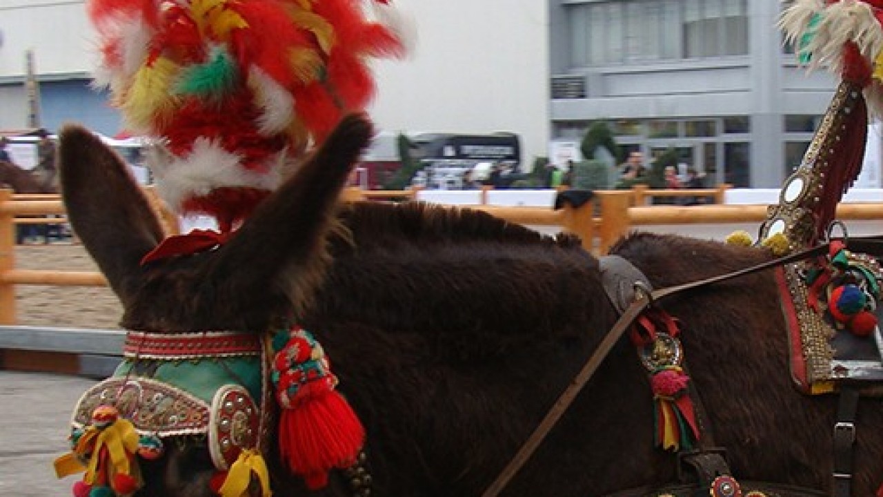 Foto: Estratégia de abrangência de mercado