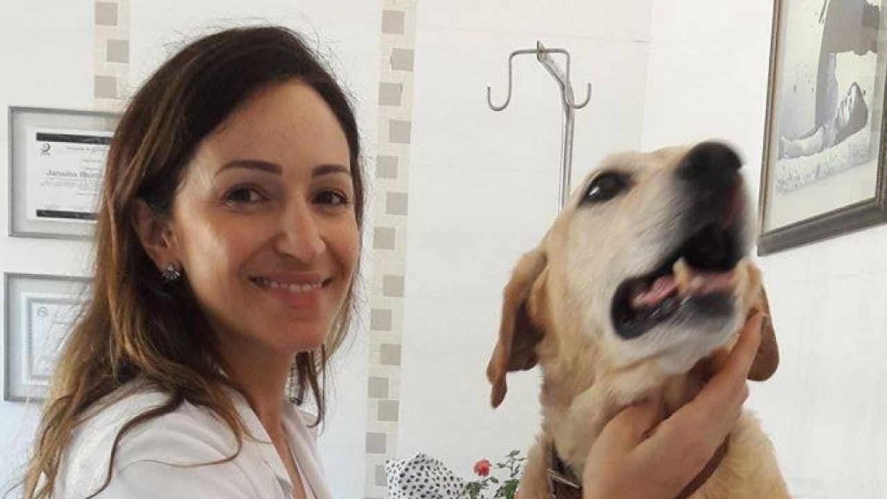 Foto: A Ozonioterapia nos pets