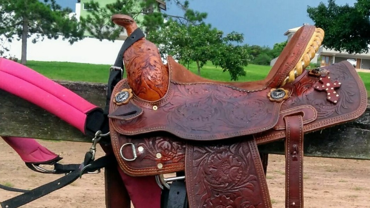 Foto: O cavalo e o aspecto social